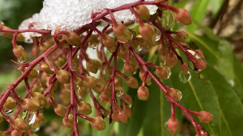 Tombe la neige…