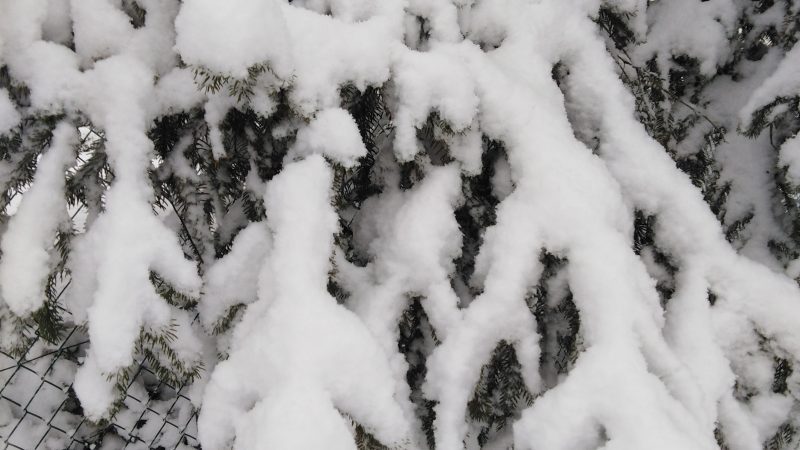 Beau manteau de neige
