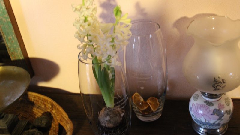 Les petites fleurs de l’hiver