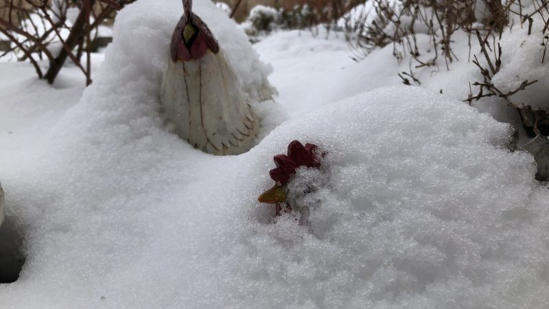 Sous la neige