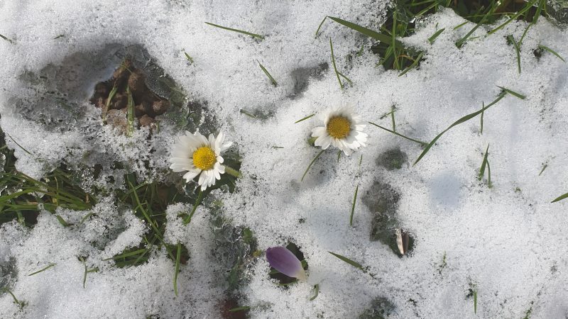 Troisième épisode neigeux