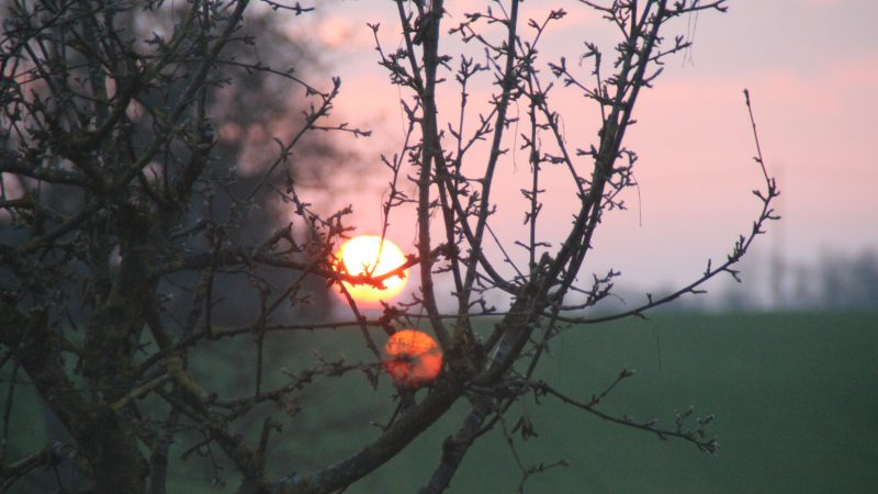 Soleil couchant