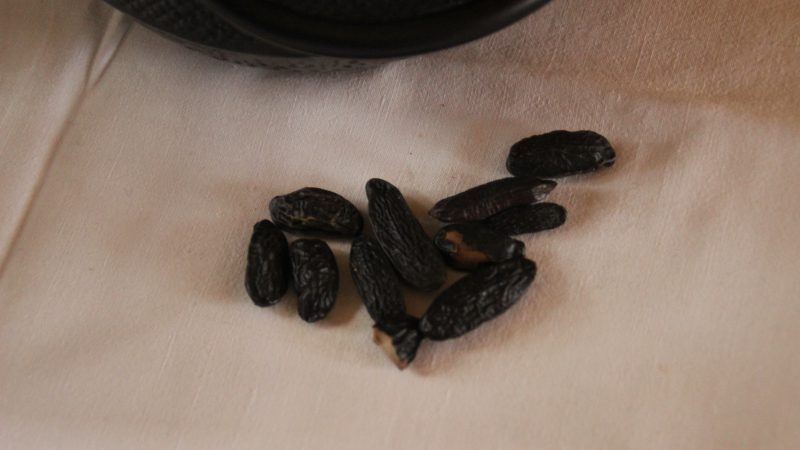 Les fèves de tonka