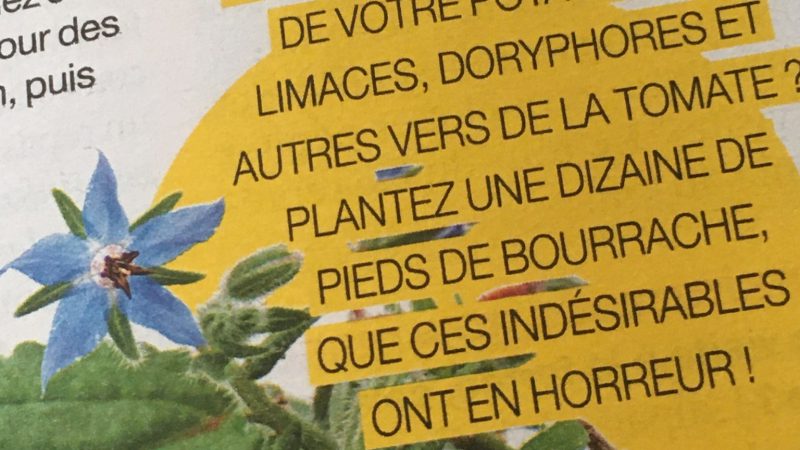 Conseil aux jardinières
