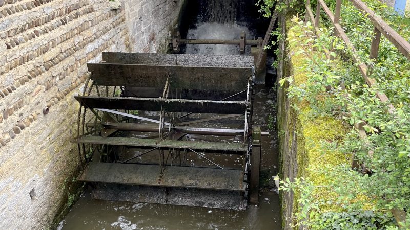 La Veyle, le moulin, les glycines, suite…
