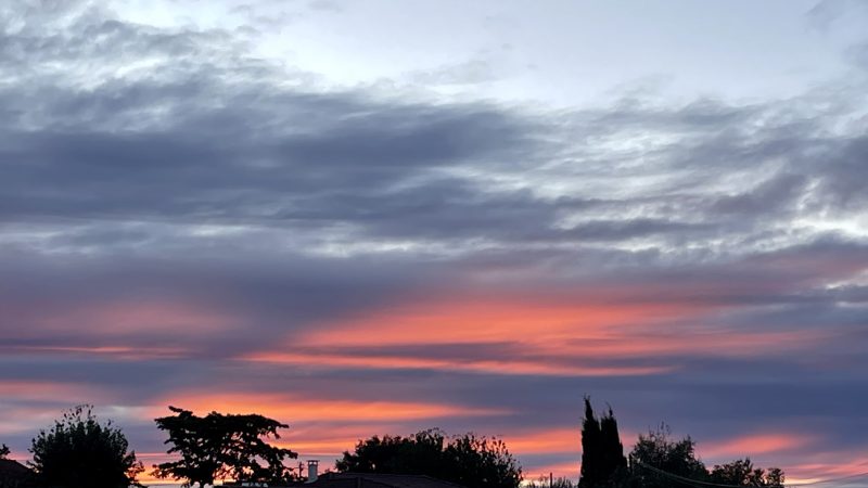 Un matin…