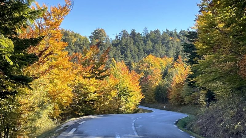 En Drôme provençale