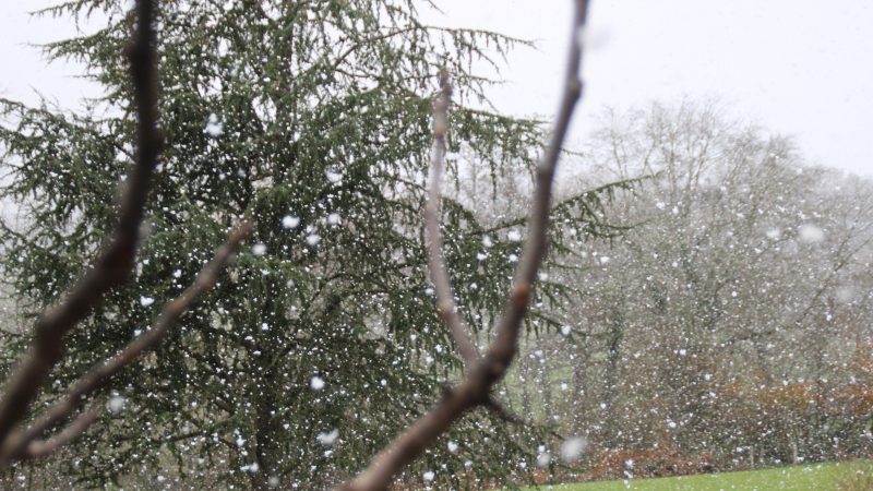 Après le gel… la neige !