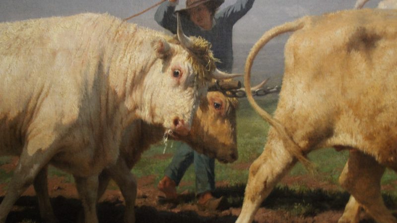 Blogueuse en voyage  2