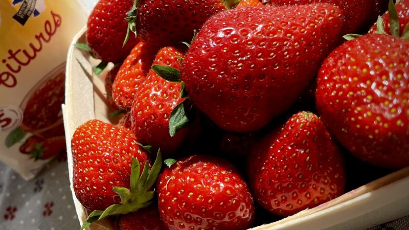 Ramenez sa fraise !