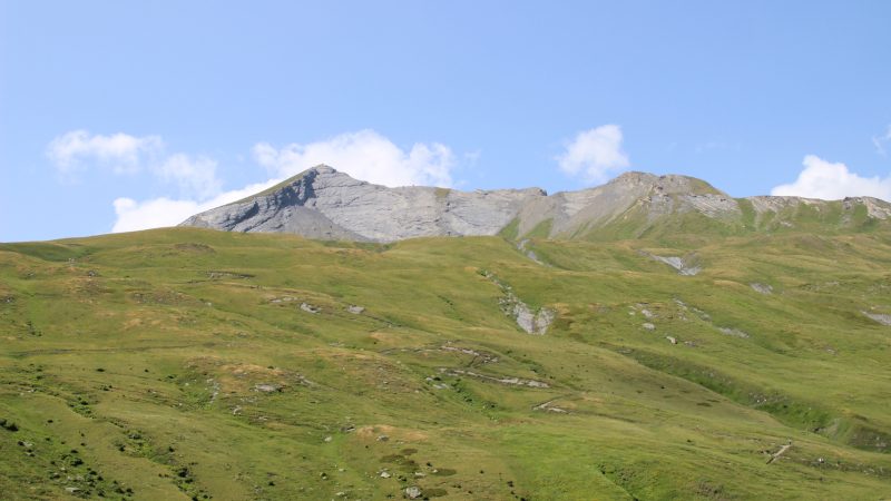 Le Petit Saint Bernard